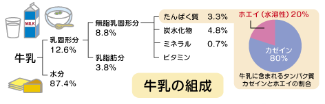 ミルクプロテイン アイドゥ株式会社